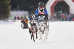 Lenzerheide 2013